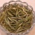 2020新茶福鼎白茶牡丹王
