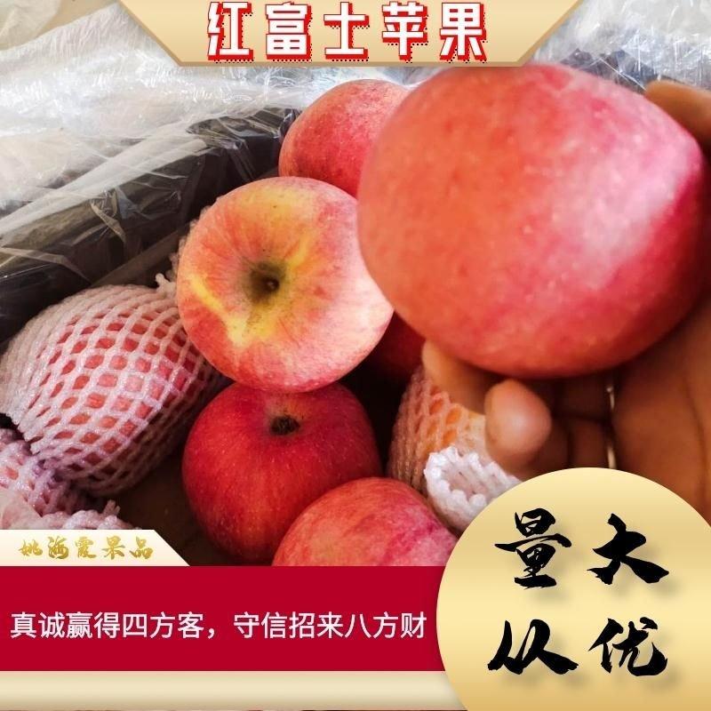 黄土高坡红富士苹果纸加膜，膜袋红富士大量上市