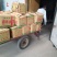 《产地直供》荷兰十五土豆可走超市可发市场