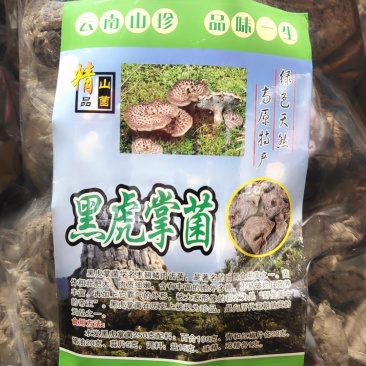 全国包邮云南精品野生菌黑虎掌菌