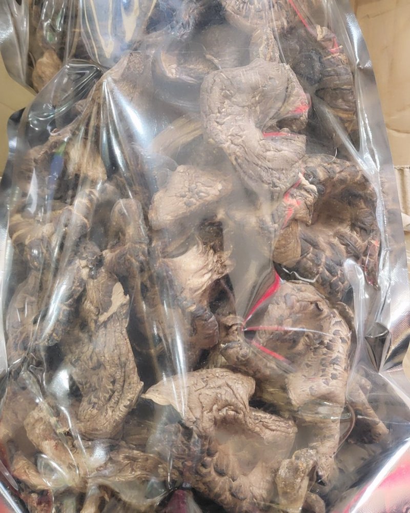 全国包邮云南精品野生菌黑虎掌菌