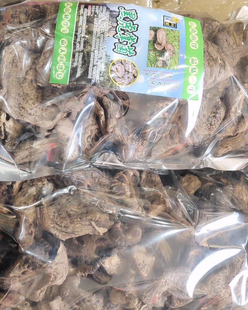 全国包邮云南精品野生菌黑虎掌菌