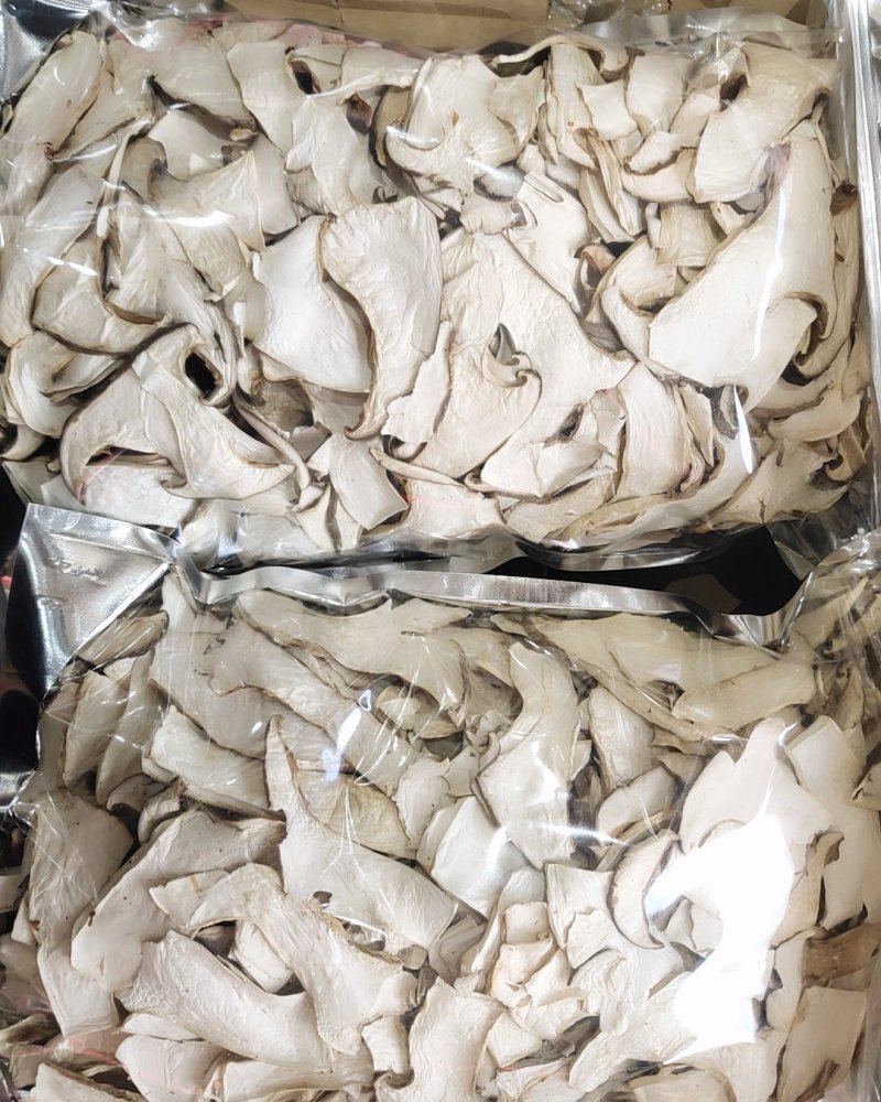 全国包邮云南精品食用菌虎掌菌干片