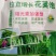 豆类拉长嫩直花荚饱保花保荚荚多荚长抗病30g*6袋