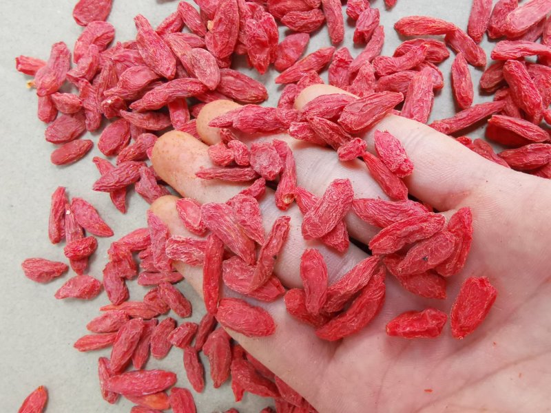 宁夏红枸杞中宁枸杞无硫纯正耐潮不粘基地直供批发零售