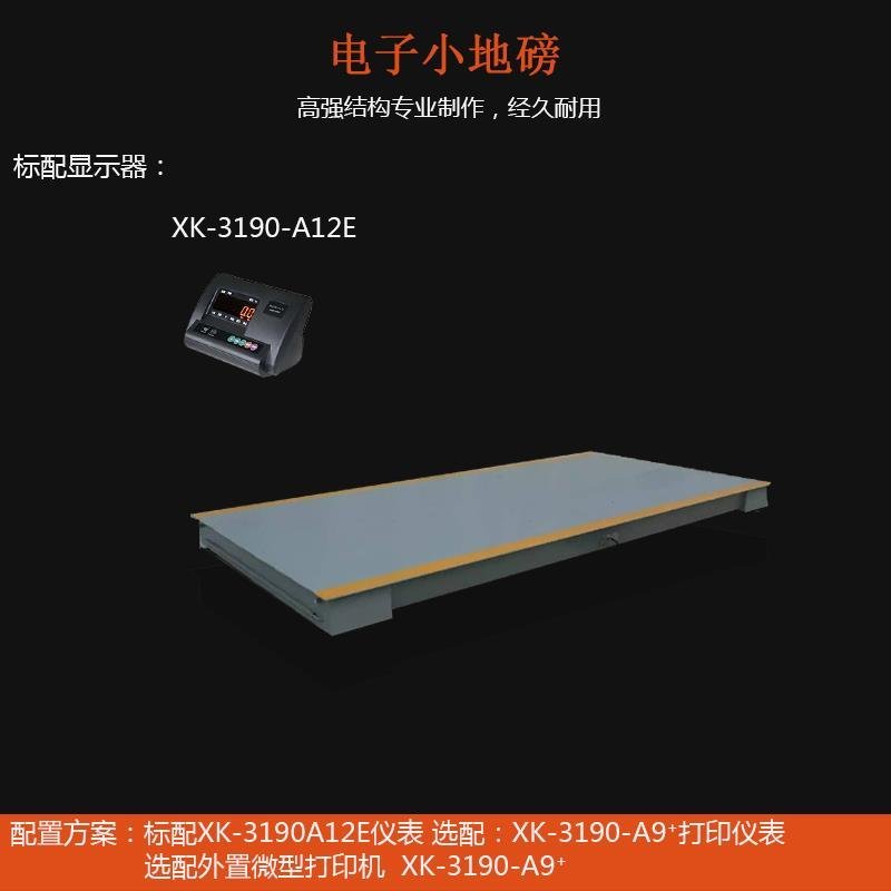 10吨2米x4米小地磅