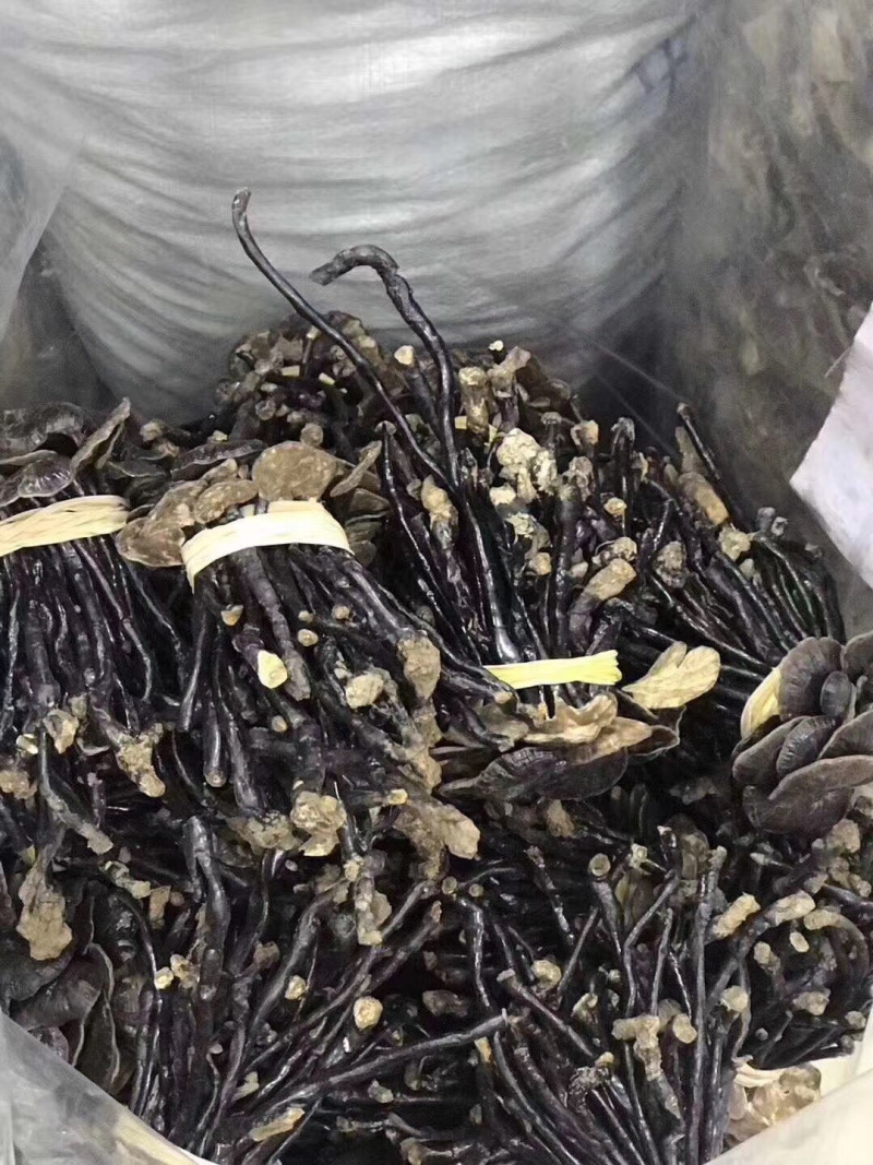 竹灵芝精选野生深山竹灵芝正品产地直供味道香