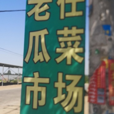 甜瓜