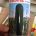 黑皮铁心大冬瓜，一串铃小冬瓜，白皮冬瓜，正好栽