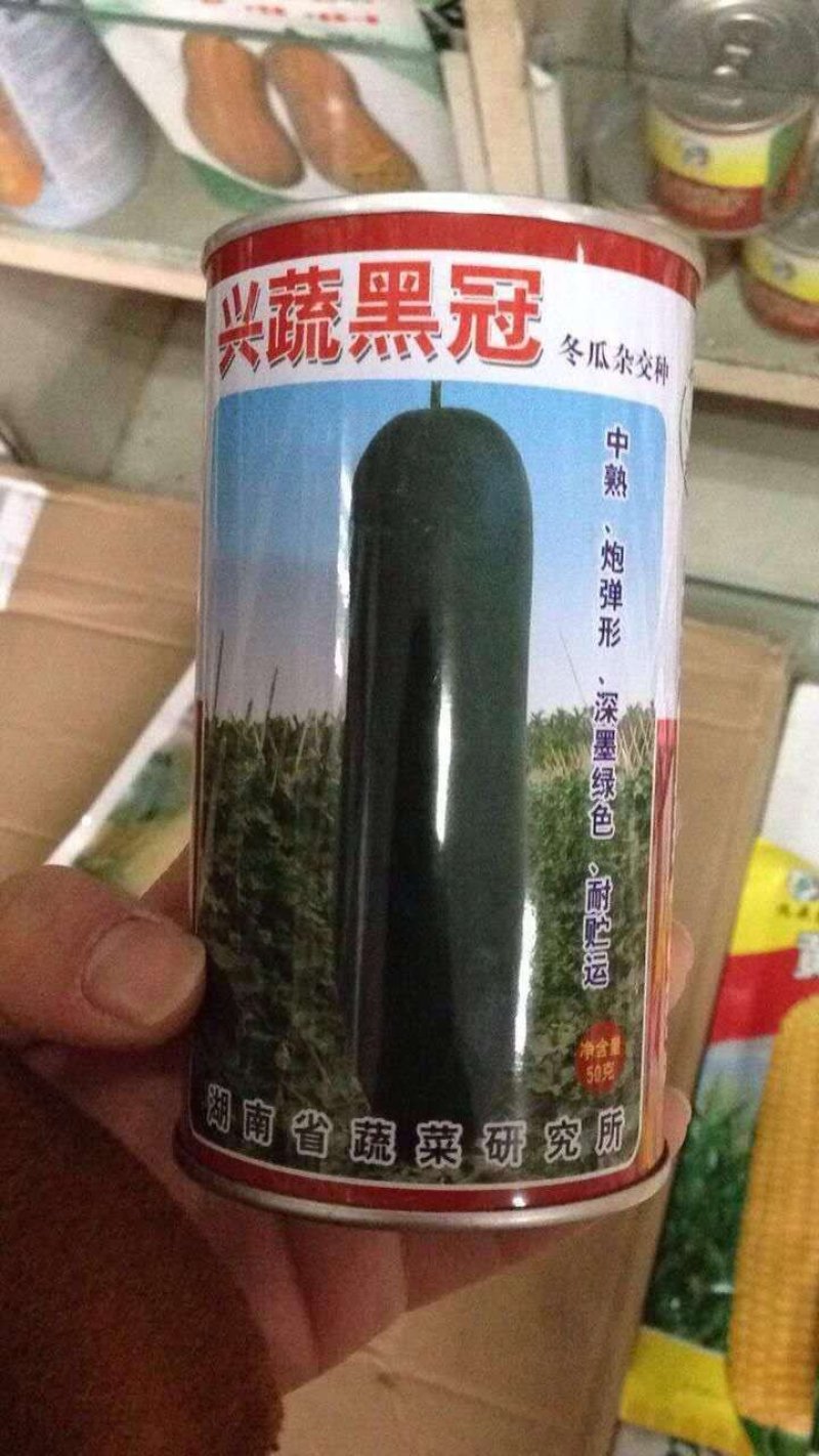 黑皮铁心大冬瓜，一串铃小冬瓜，白皮冬瓜，正好栽