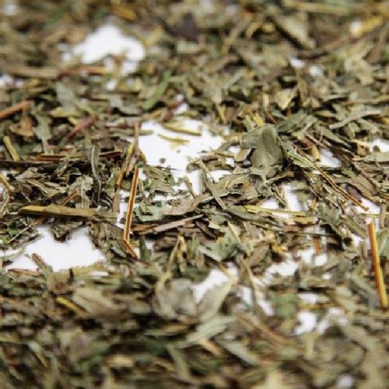 凤尾草鸡爪草凤尾七鸡脚草中药材