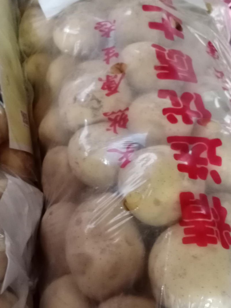 中暑5号黄心土豆大量有货
