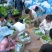 云南红河热谷优质基地焦