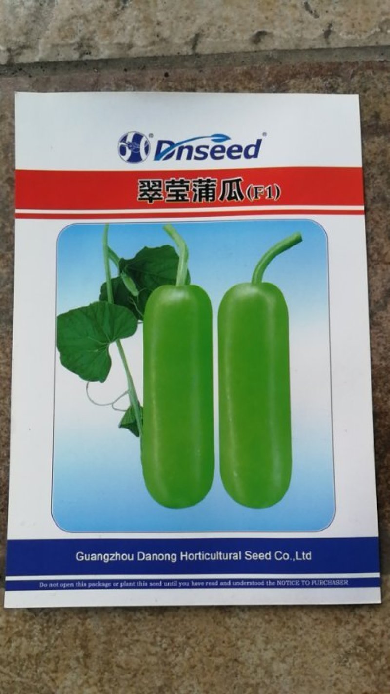 耐热抗病翠莹蒲瓜种子皮色油亮翠绿商品性佳