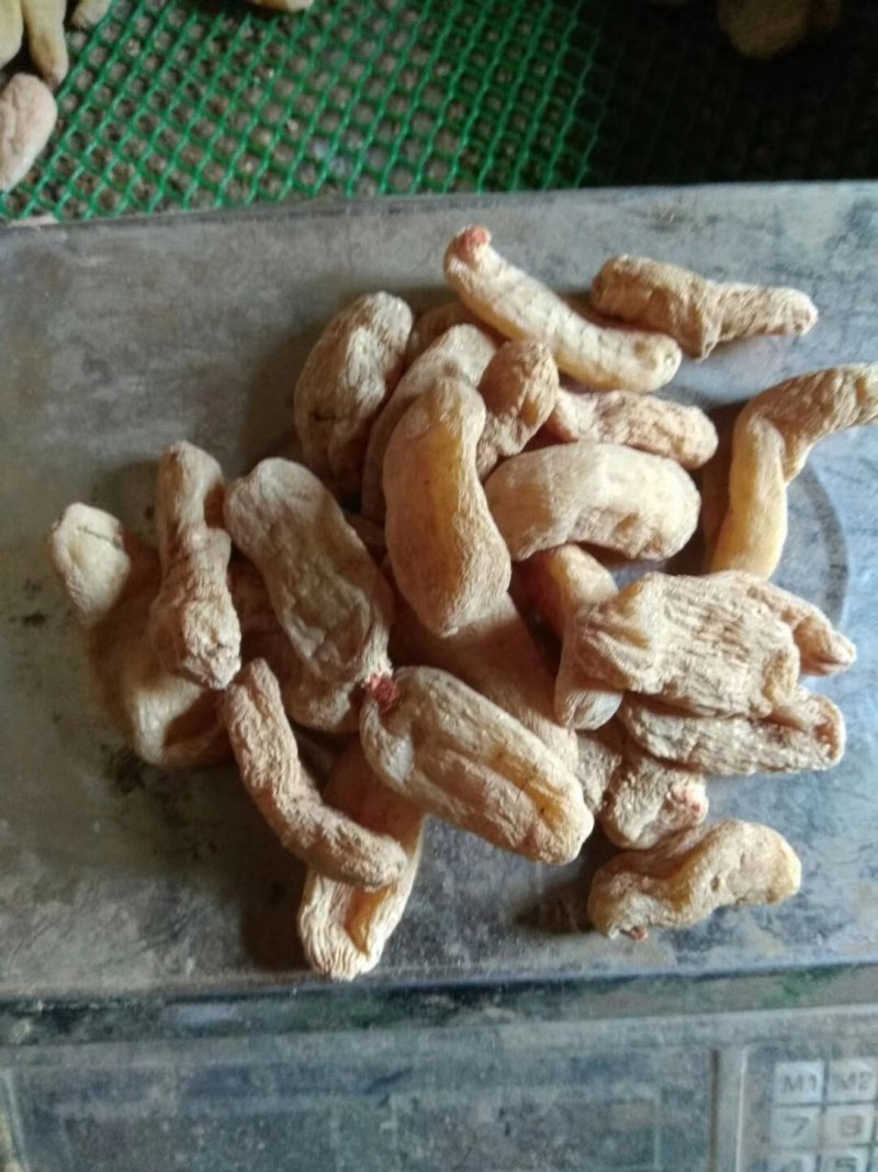 云南昭通小草坝天麻自产自销，支琴专业合昨社