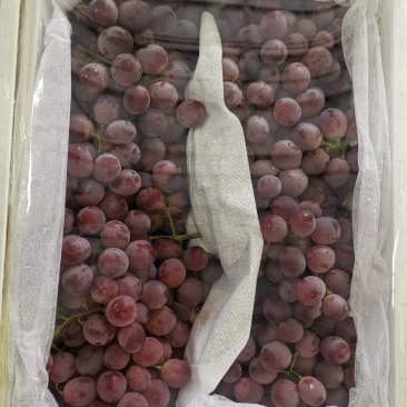 红提