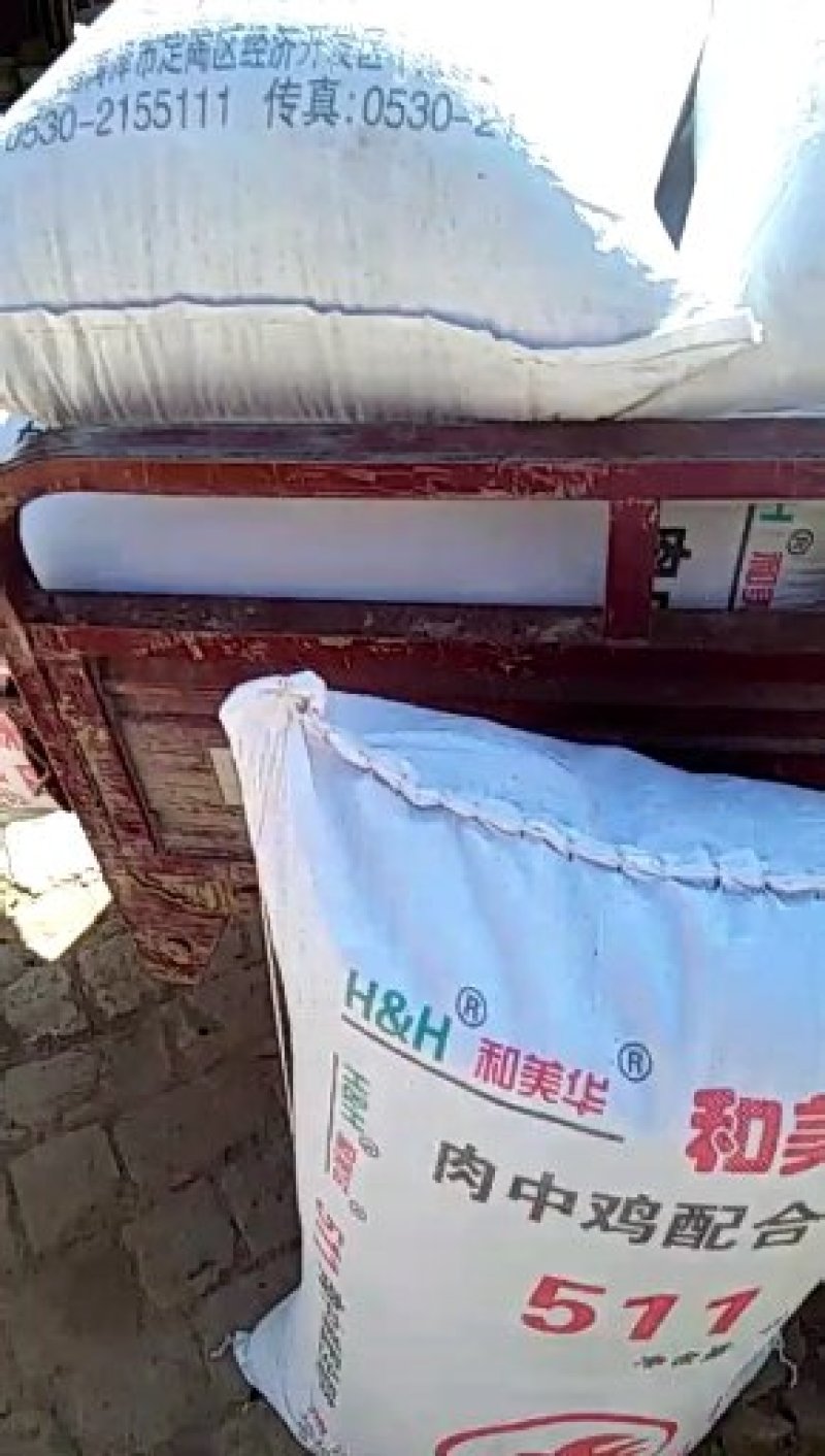 都是过筛过风的九香虫，精选货，还有通货。需要的可以联系