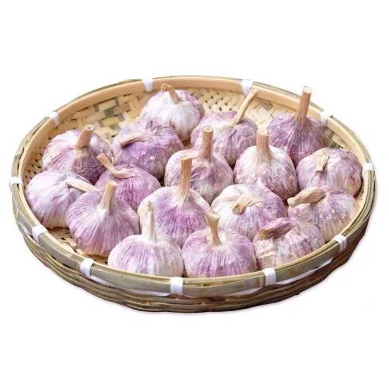 金乡太空蒜，皮紫红亮，做包装发市场之佳品