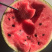 东台8424西瓜🍉专业团队代发全国各大市场