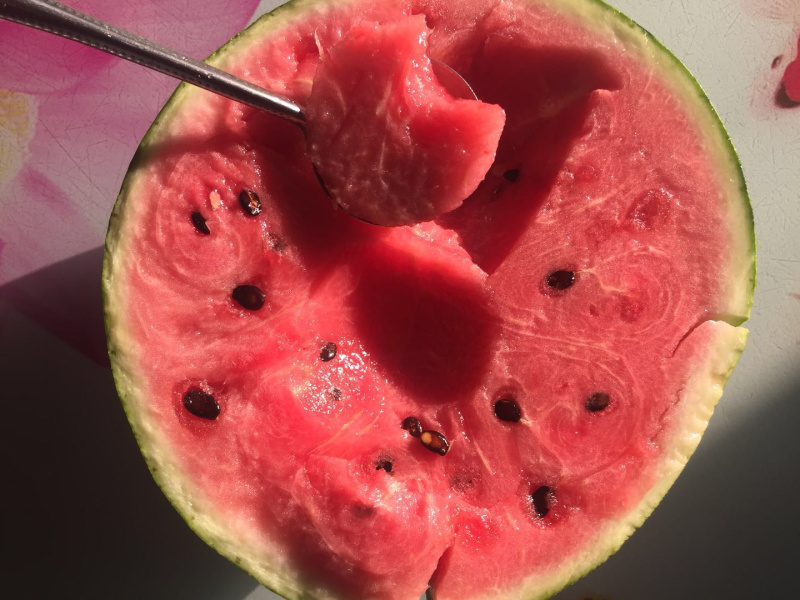 东台8424西瓜🍉专业团队代发全国各大市场