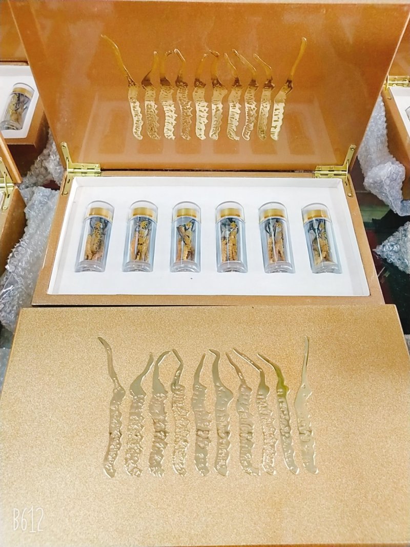 玉树精品冬虫夏草30根礼盒装(一盒起发包邮)