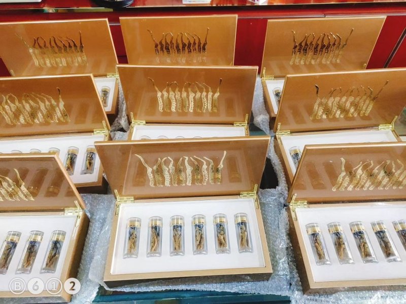 玉树精品冬虫夏草30根礼盒装(一盒起发包邮)