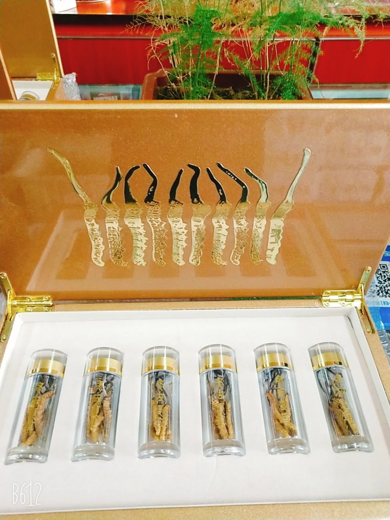 玉树精品冬虫夏草30根礼盒装(一盒起发包邮)