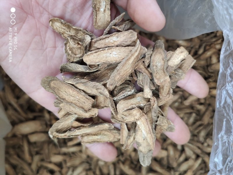 牛蒡茶味香足干无硫磺