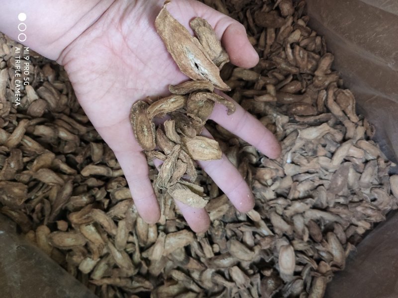 牛蒡茶味香足干无硫磺