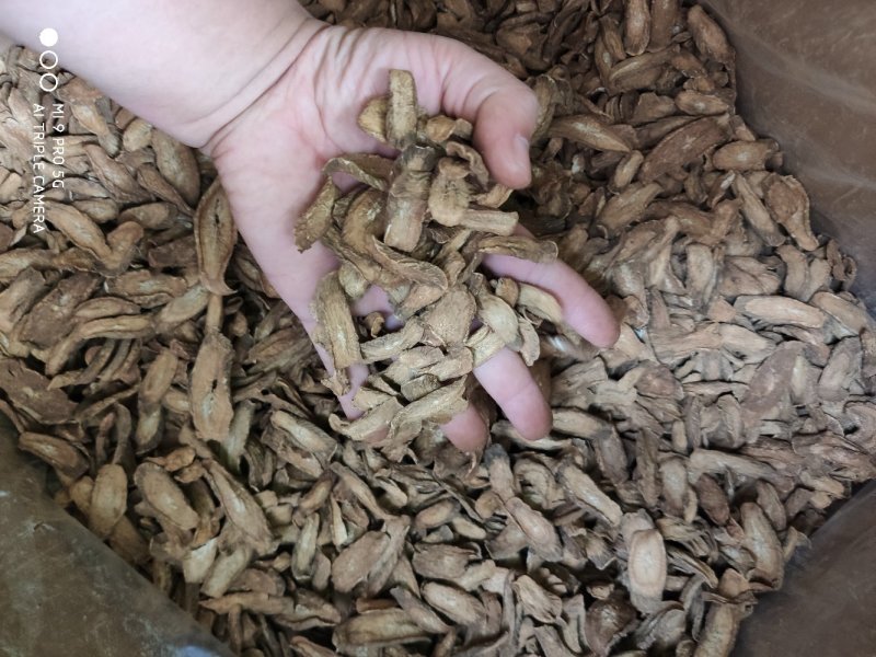 牛蒡茶味香足干无硫磺