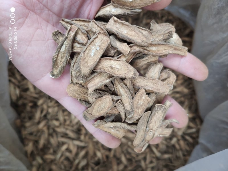 牛蒡茶味香足干无硫磺