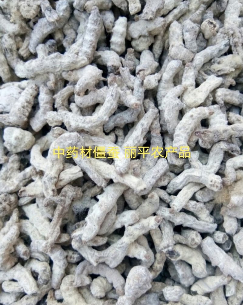 正品僵蚕白僵蚕七子白无硫炒僵蚕一公斤起