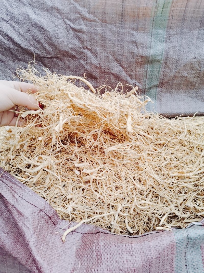 长白山人参须，白参须，白参大量供货