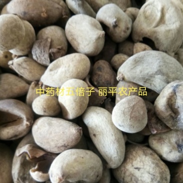 五倍子正品优质个干净无杂百虫仓另有蛇床子