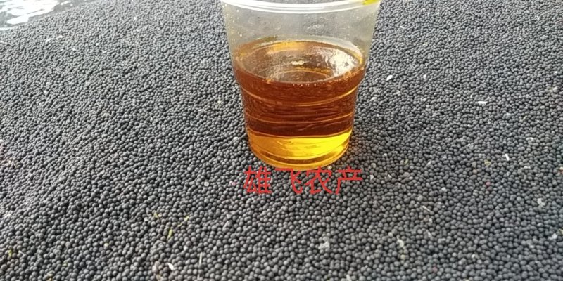 湖北油菜籽本地油菜籽精品净菜籽毛菜籽出油率高油色金黄