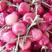 山东大樱桃，美早樱桃，大量供应产地直发，全国发货保质量