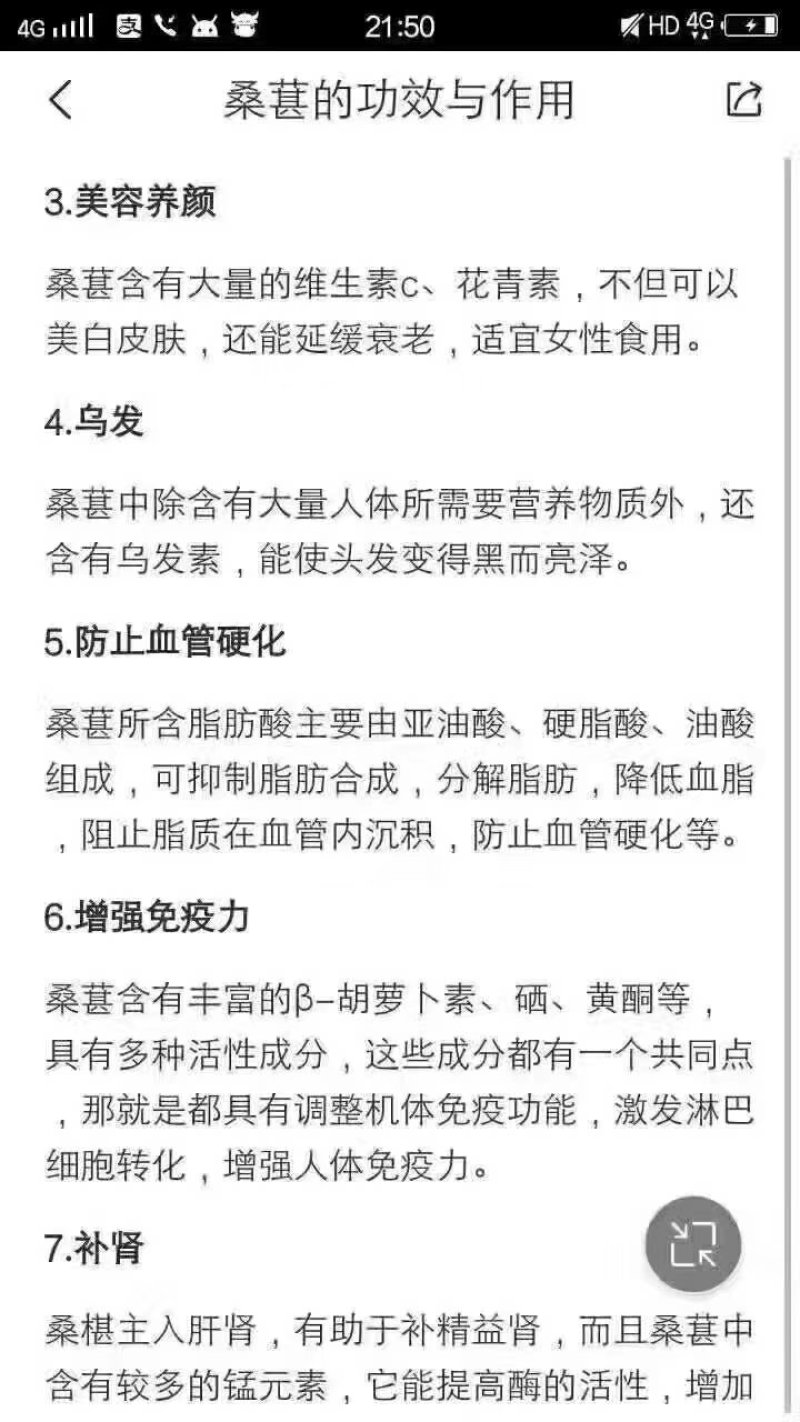 桑椹干