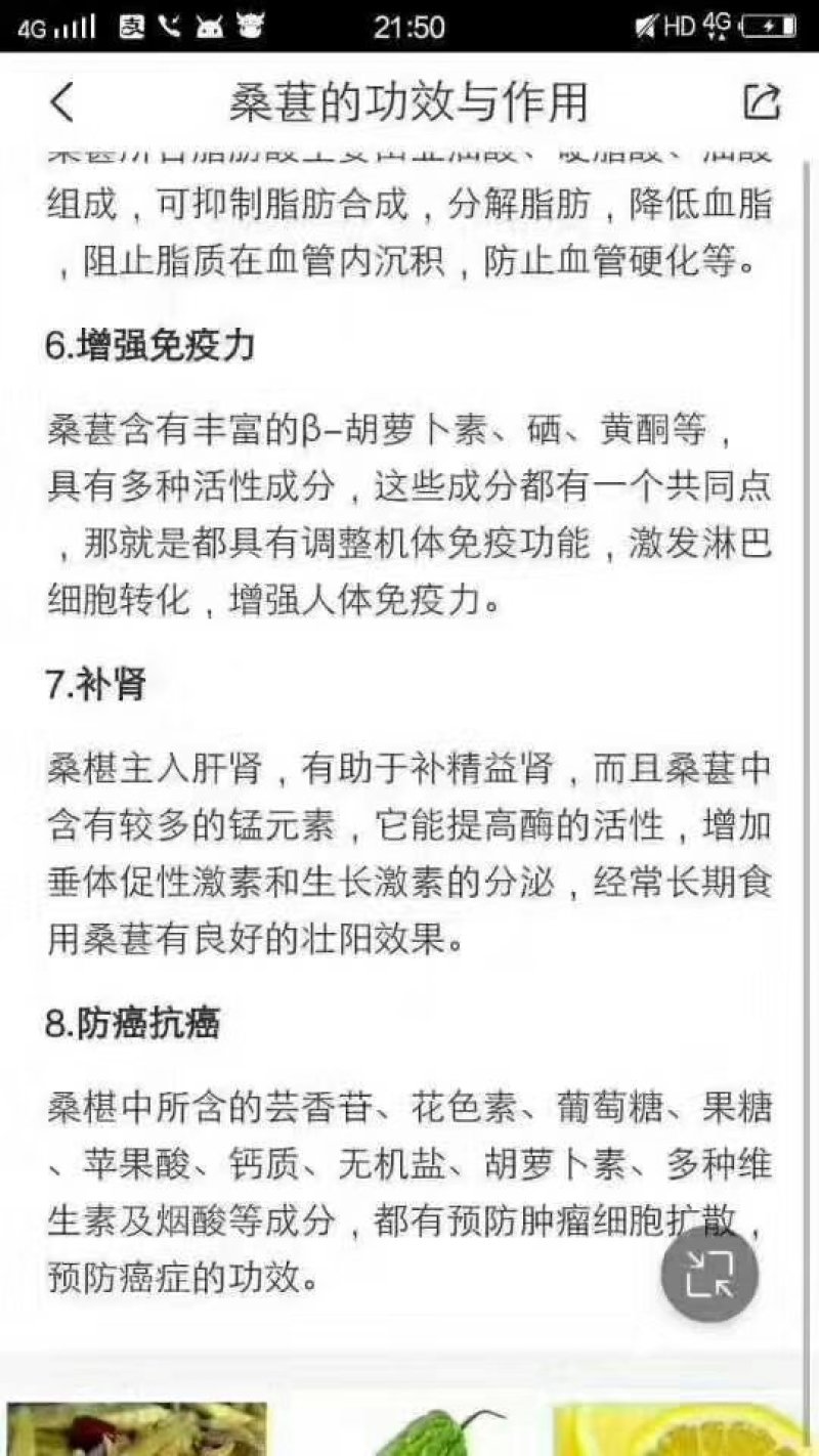 桑椹干