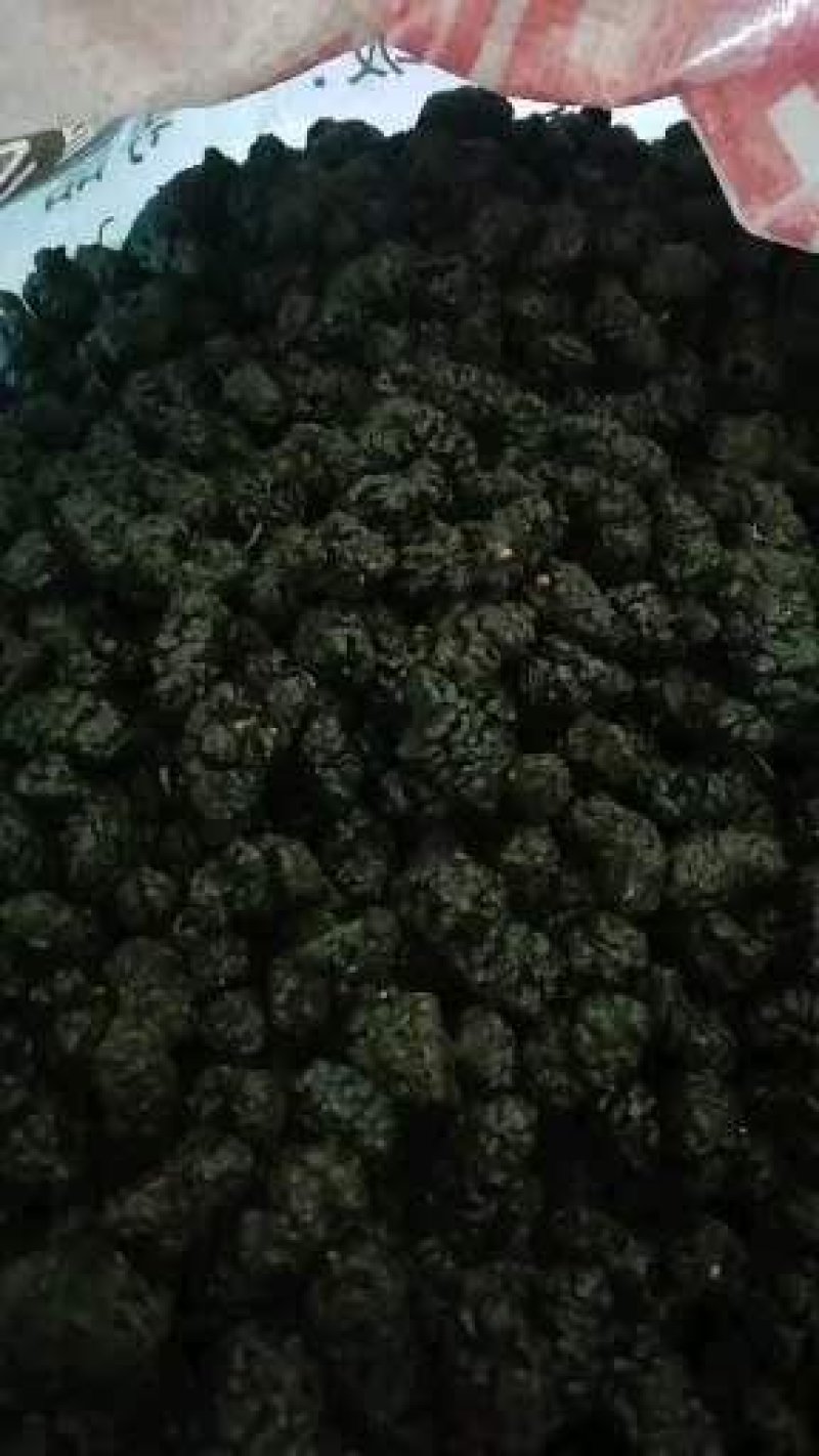 桑椹干