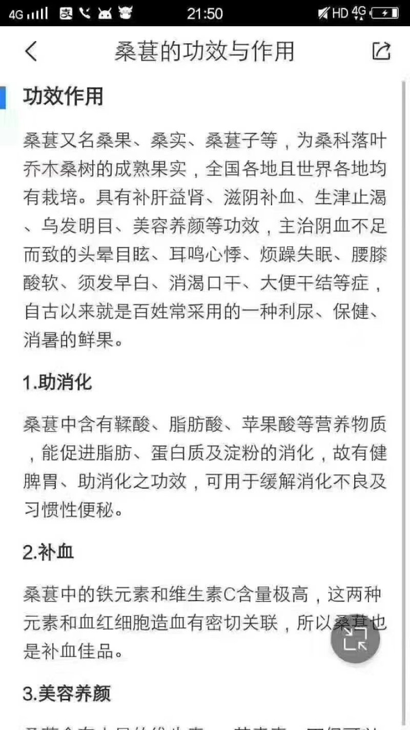 桑椹干