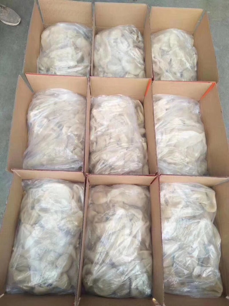 熟羊肚，现货实拍，价格低，一手货源，询价有惊喜，量大从优