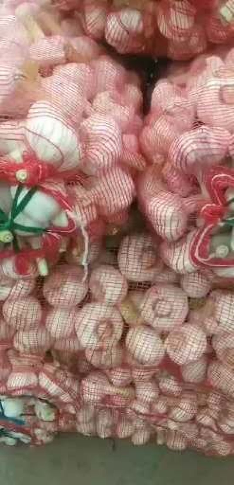 精品大蒜鲜蒜剥皮蒜大量供应产地直供质量保证