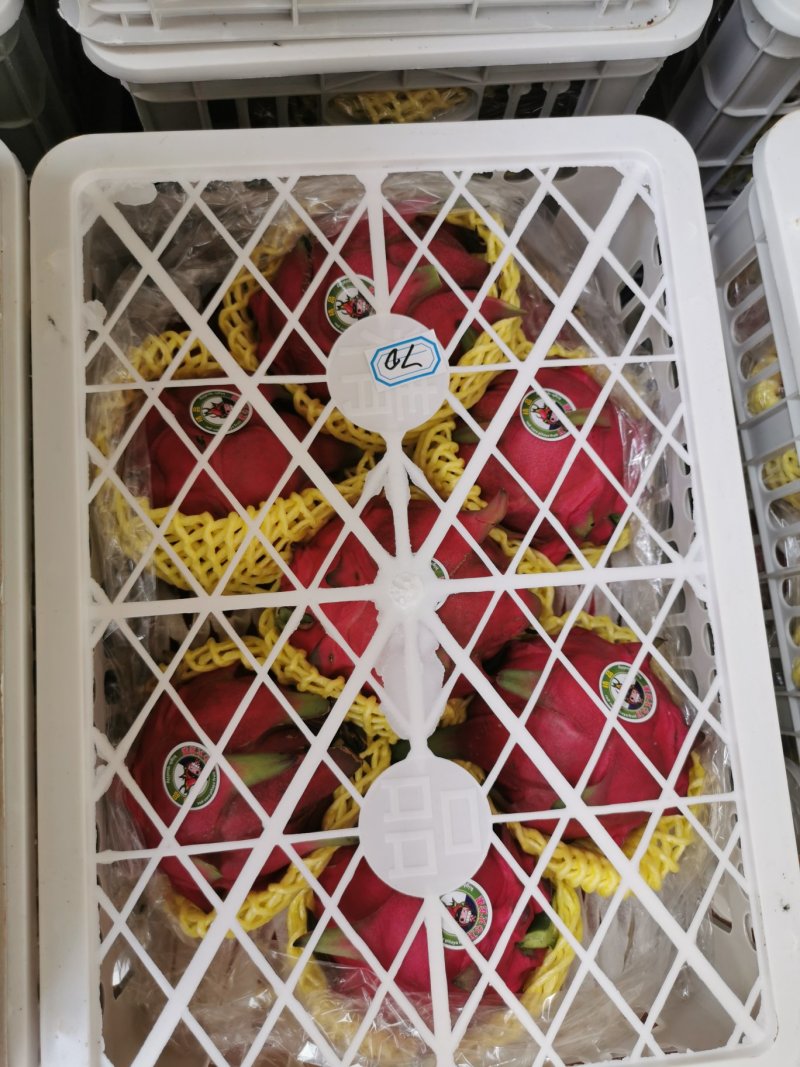 红心火龙果金都大红