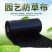 全新聚乙烯材质防草布园艺地布除草布盖草布遮草布大棚地垫抑