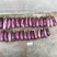 瑞克斯旺进口安吉拉花特菜（花茄子超市档口直供全国发