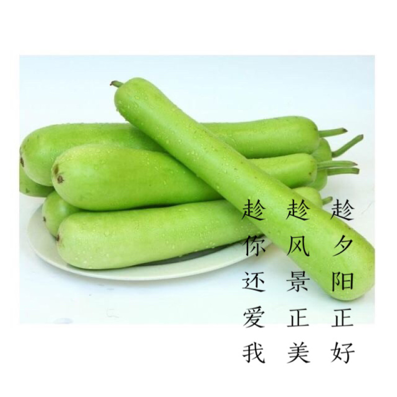 户子