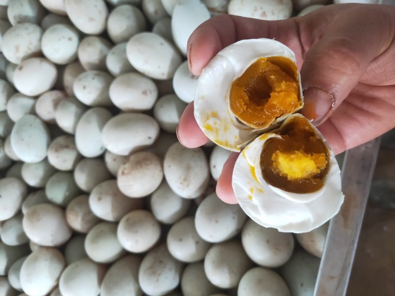 咸鸭蛋大量批发