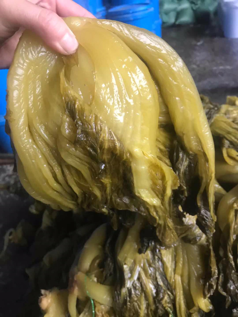 酸菜批发，常年供货，咸菜，大颗菜，小菜