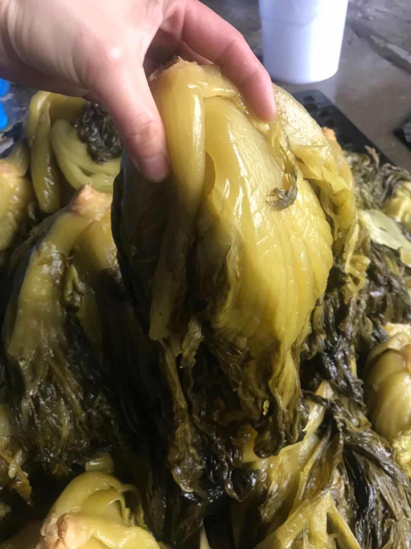 酸菜批发，常年供货，咸菜，大颗菜，小菜