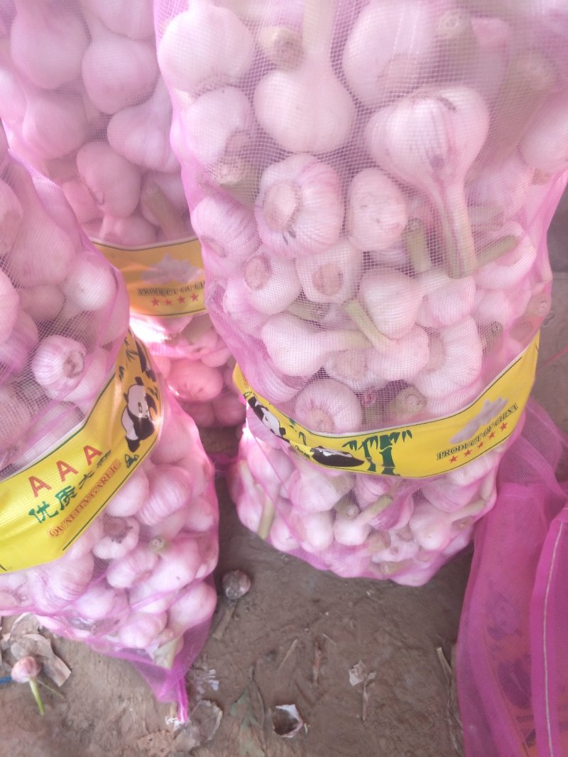 精品扒皮大蒜，，电商货，市场货，商超。量大从优